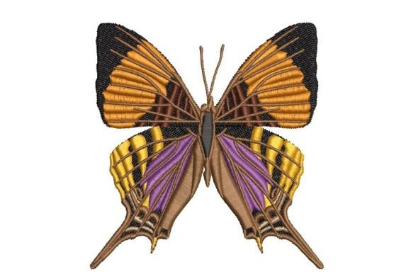 Marpesia Butterfly: A Designer’s Review for Business Branding